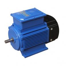 Single phase explosion-proof motor