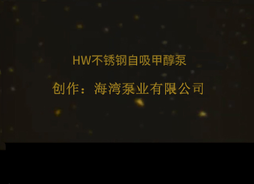 HW不銹鋼自吸甲醇泵