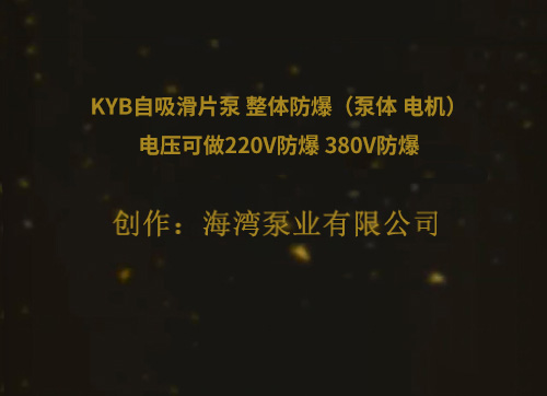 KYB自吸滑片泵 整體防爆（泵體 電機(jī)）電壓可做220V防爆 380V防爆