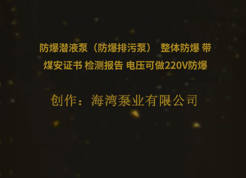 防爆潛液泵（防爆排污泵）  整體防爆 帶煤安證書 檢測報(bào)告 電壓可做220V防爆  380V防爆