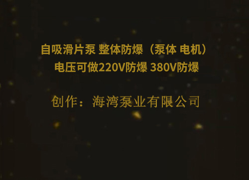 自吸滑片泵 整體防爆（泵體 電機）電壓可做220V防爆 380V防爆