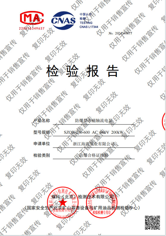 防爆型永磁軸流電泵 200kw