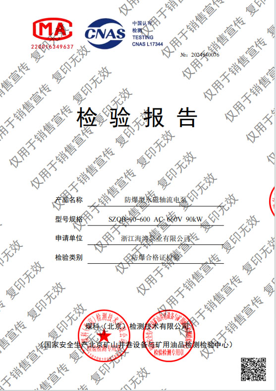 防爆型永磁軸流電泵 90kw