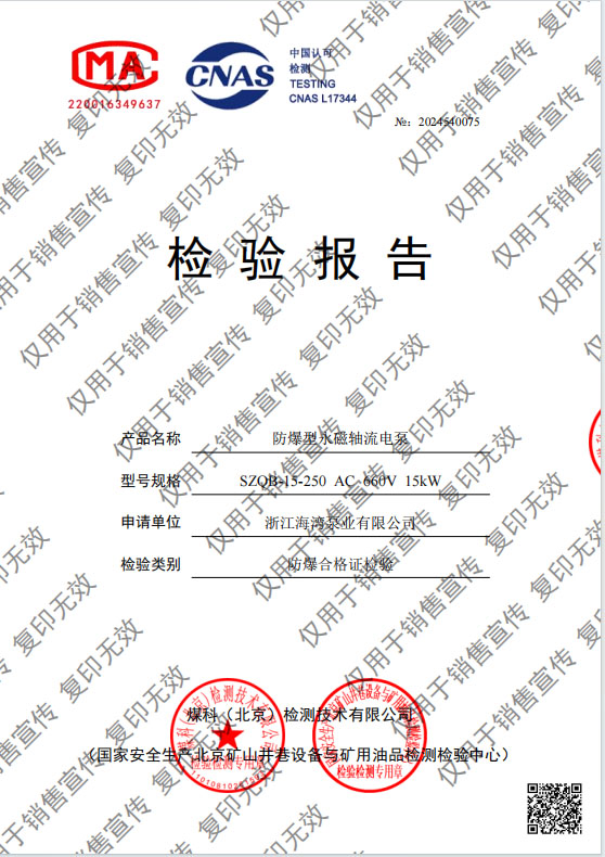 防爆型永磁軸流電泵 15kw