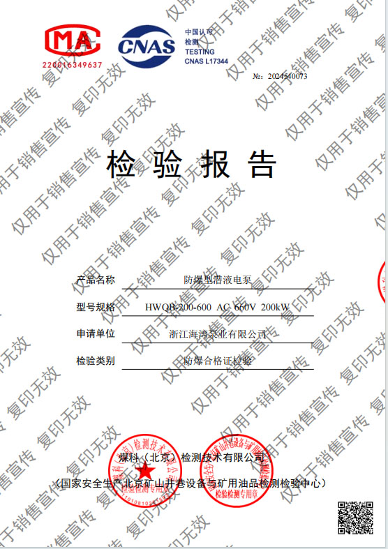 防爆型潛液電泵200kw