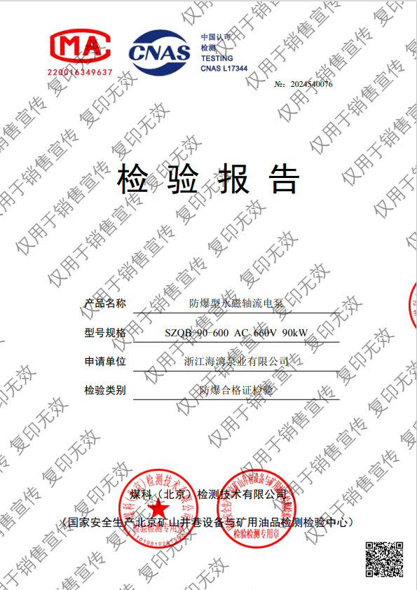 防爆型永磁軸流電泵檢測(cè)報(bào)告